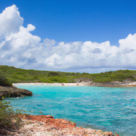 Paradise