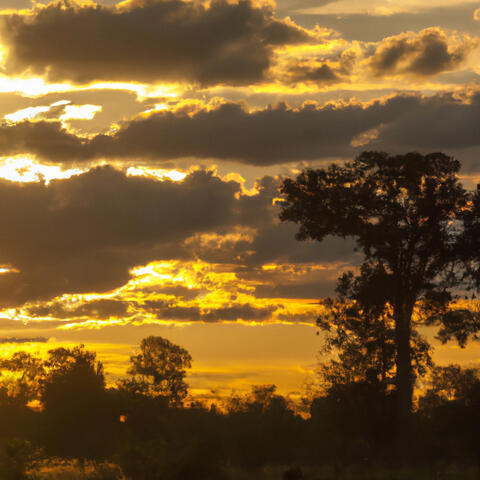 Evening