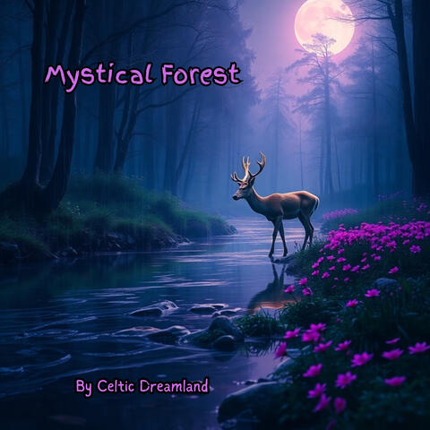 Mystical Forest