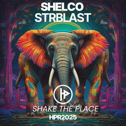 Shake The Place