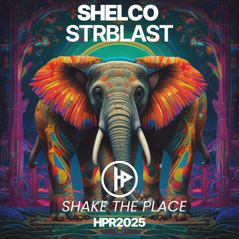 Shake The Place