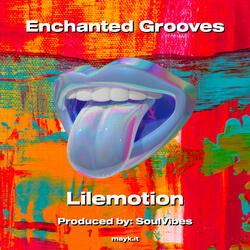 Enchanted Grooves
