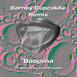 Barney CupcakKe Remix
