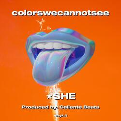 colorswecannotsee