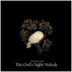The Owl's Night Melody