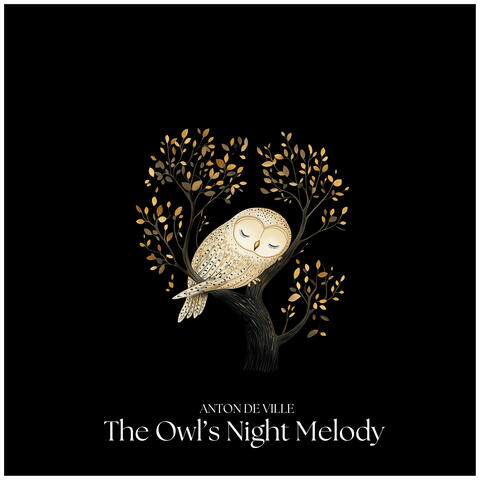 The Owl's Night Melody