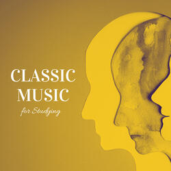 Study Sonata for Productivity