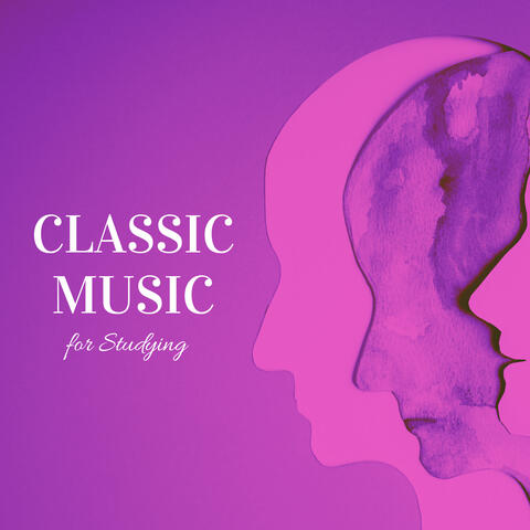 Elegant Baroque's for Productivity and Learning