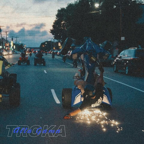Troka Alta Gama