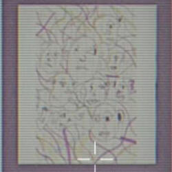 처럼 Picasso
