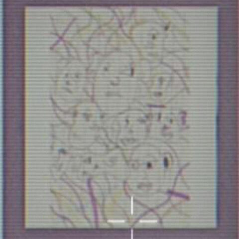 처럼 Picasso