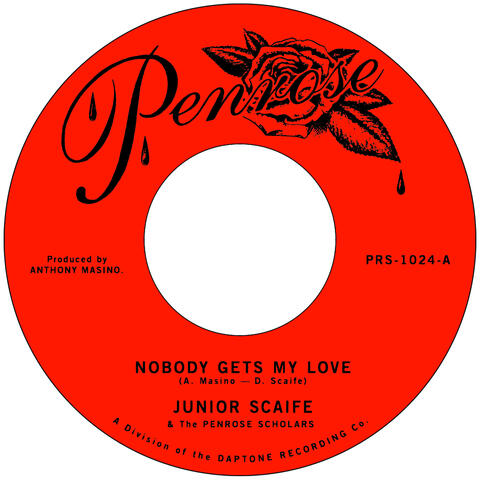 Nobody Gets My Love