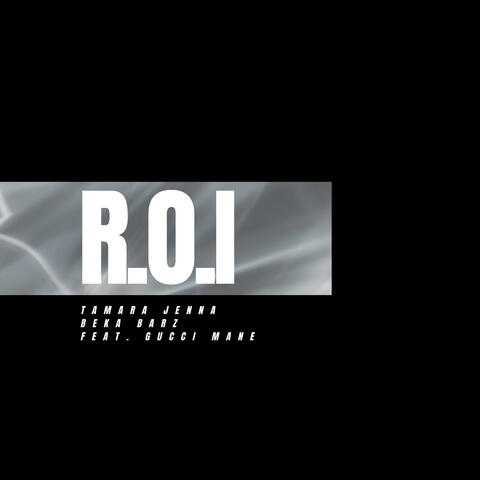 R.O.I (RETURN ON INVESTMENT)