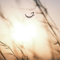 Soft Breeze