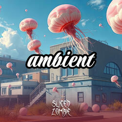 28 - Ambient Album