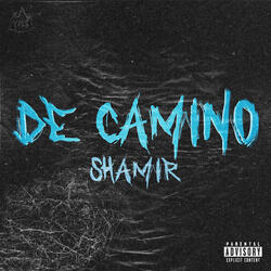 DE CAMINO