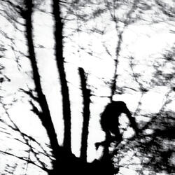 Disintegrate...