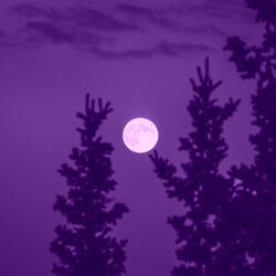 eternal dusk