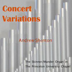 Sonata No. 3 in a Major, Op. 65: II. Andante Tranquillo