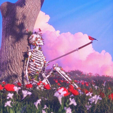 Around The Sun
