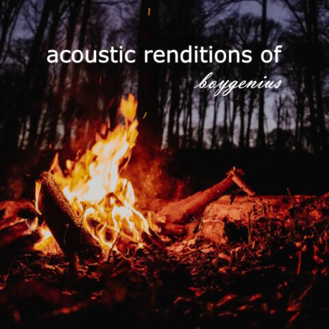 Acoustic Renditions of Boygenius
