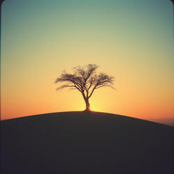 The Color of Sadness