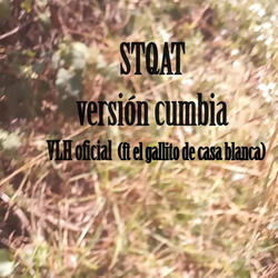 STQAT