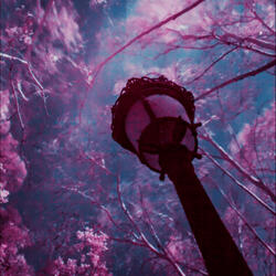 The Legend of Ashitaka (from 'Princess Mononoke') (2)