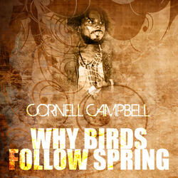 Why Birds Follow Spring