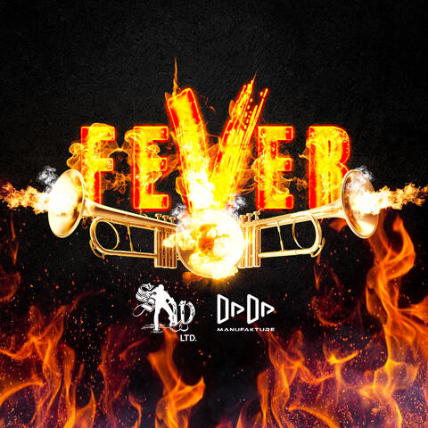Fever