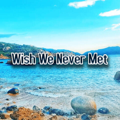 Wish We Never Met
