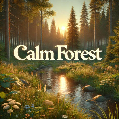 Calm Forest