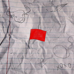 matador (red flags)