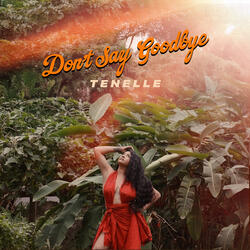 Don't Say Goodbye