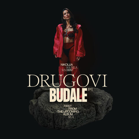 Drugovi Budale