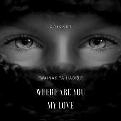 Wainak Ya Habibi