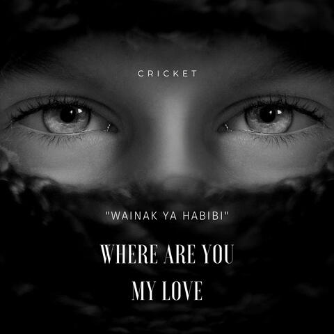 Wainak Ya Habibi