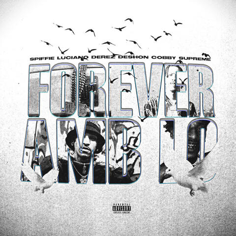 FOREVER AMB LO