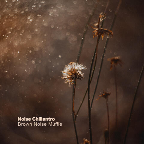Brown Noise Muffle