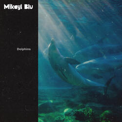 Dolphins