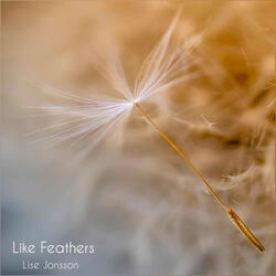 Like Feathers