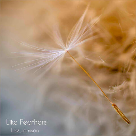 Like Feathers