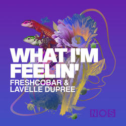 What I'm Feelin' (Extended Mix)