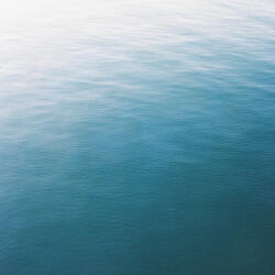 oars