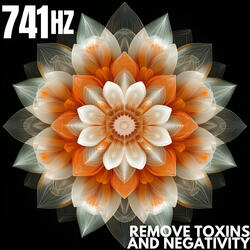 Remove Negativity 741 Hz