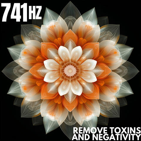 Remove Toxins and Negativity 741 Hz