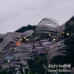 Light breeze