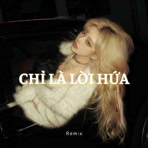 Chỉ Là Lời Hứa (Remix)