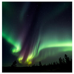 Weightless Vibrations of the Higher Self