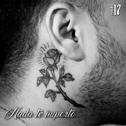 Nada Te Importo
